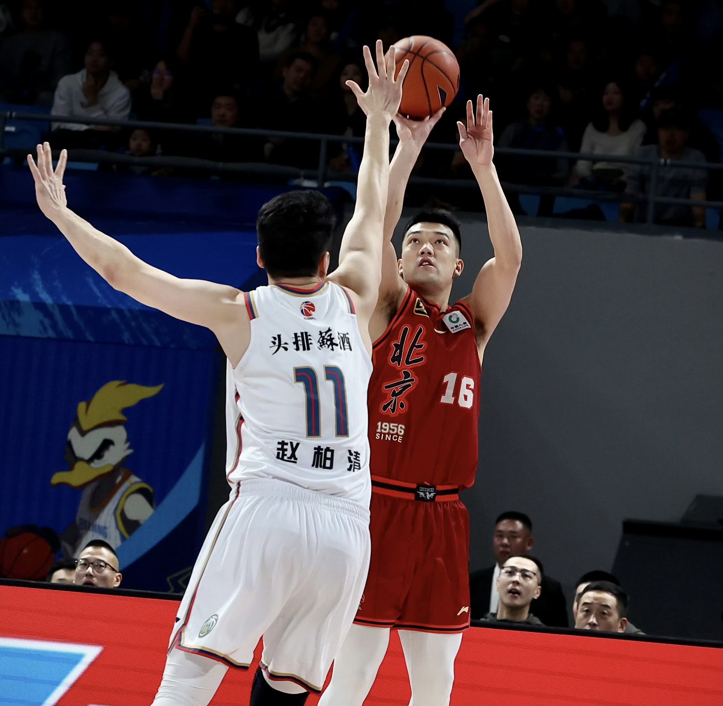 开云体育-北京队力克太阳，王哲林带队取胜