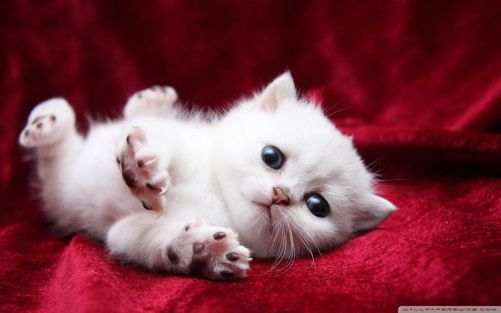 看到NBA总决赛之夜和阿圭罗这两个关键词，我的第一反应是，这真是一个奇妙的组合。足球巨星如何发挥完美？这本身就是一个极具戏剧张力和想象空间的开端