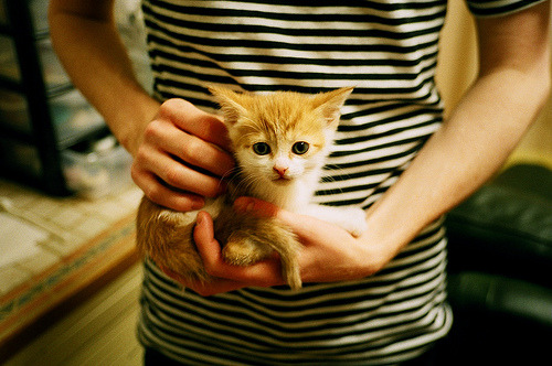 丝绸烽火映京华,当西亚卡姆的生涯巨制于天山脚下上演