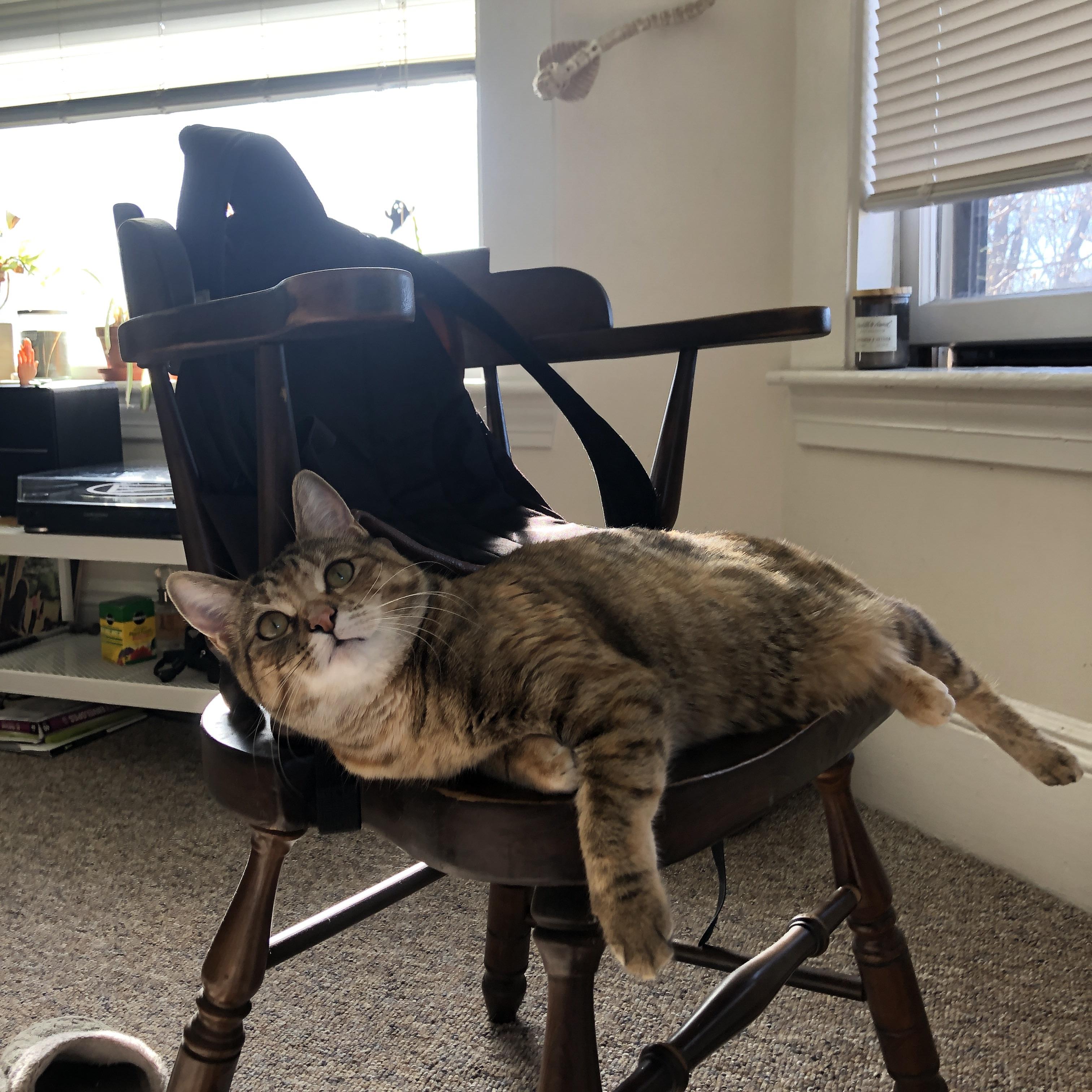 世纪鏖战！雄鹿铁血碾压步行者，夺下抢七晋级关键一役