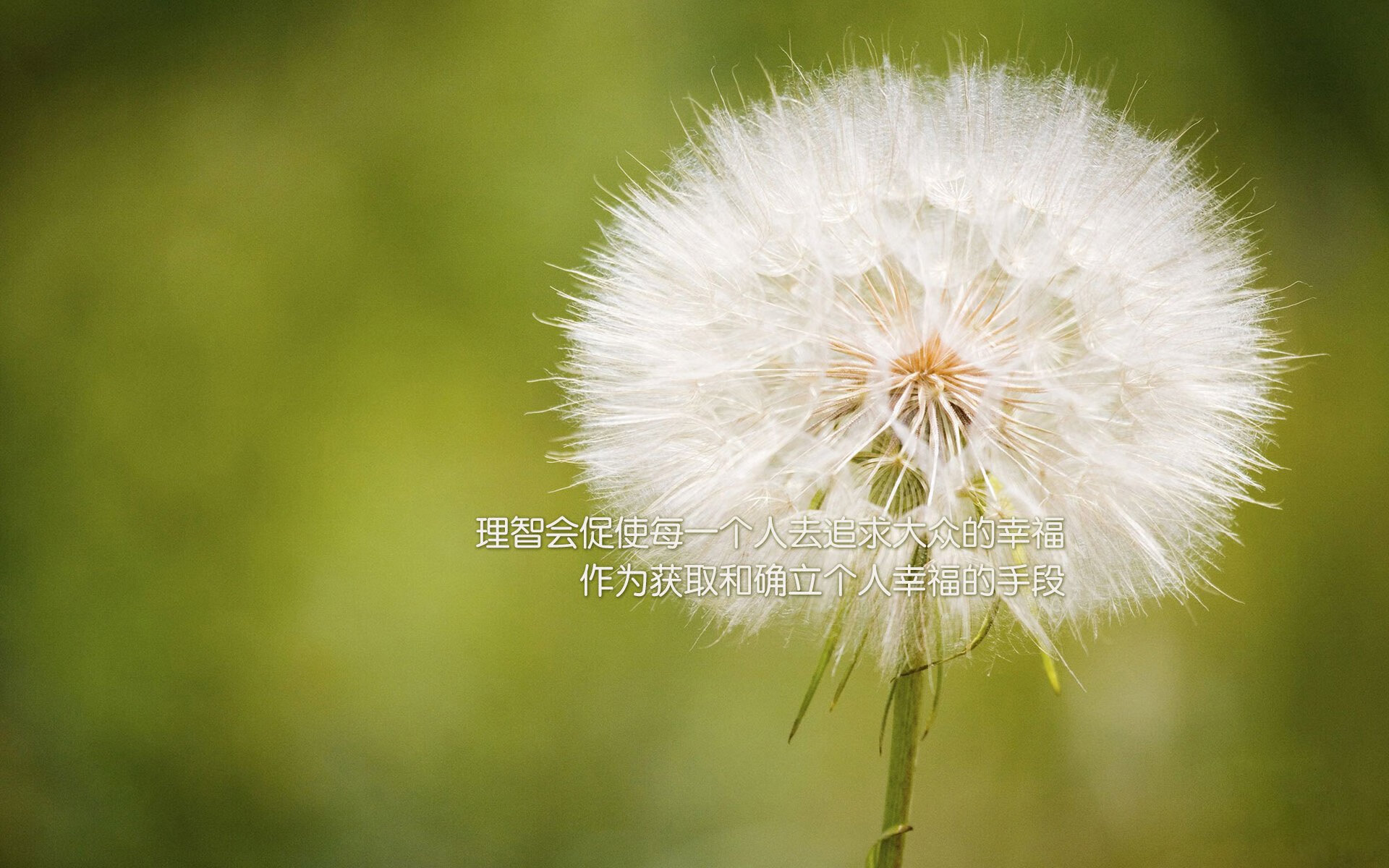 舞台中央的猎手，当莱万遇上卡塔尔与土耳其的战术角力