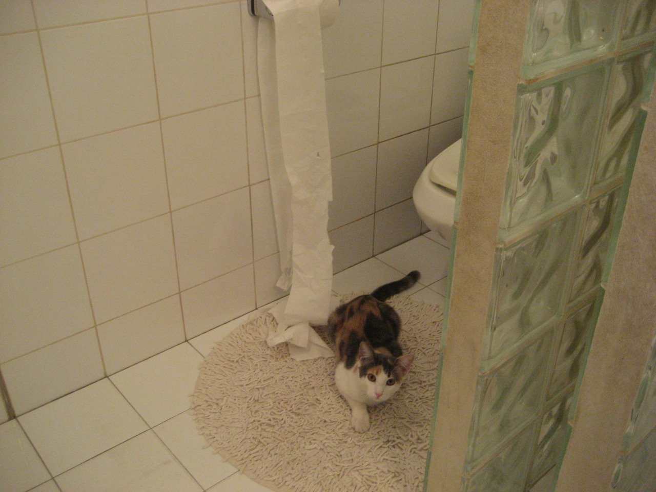 雷霆狂潮以点破面，西亚卡姆防守铁链难锁五雷轰顶