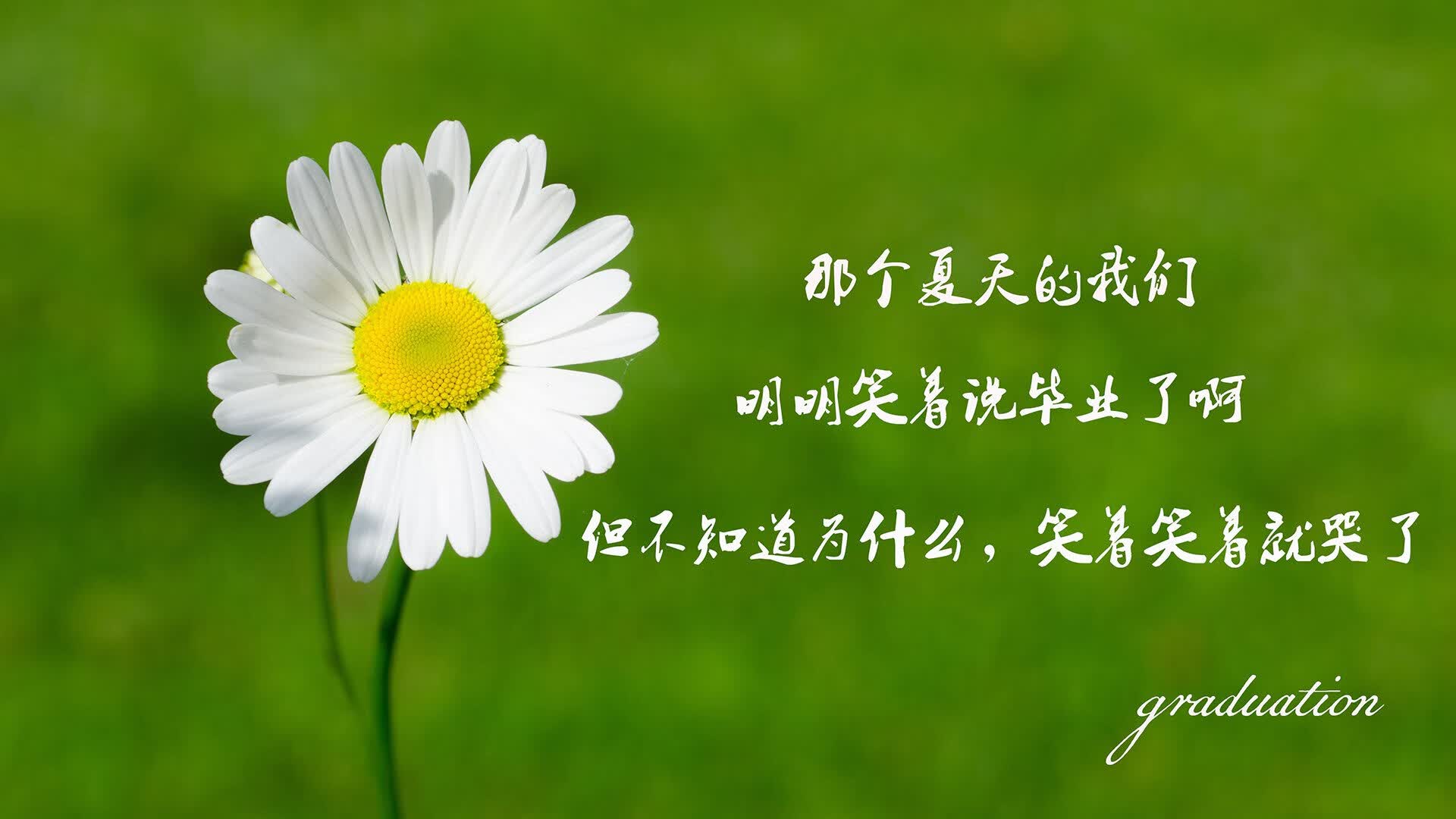 这是一篇为您定制的文章,基于您提供的核心关键词唯一性展开