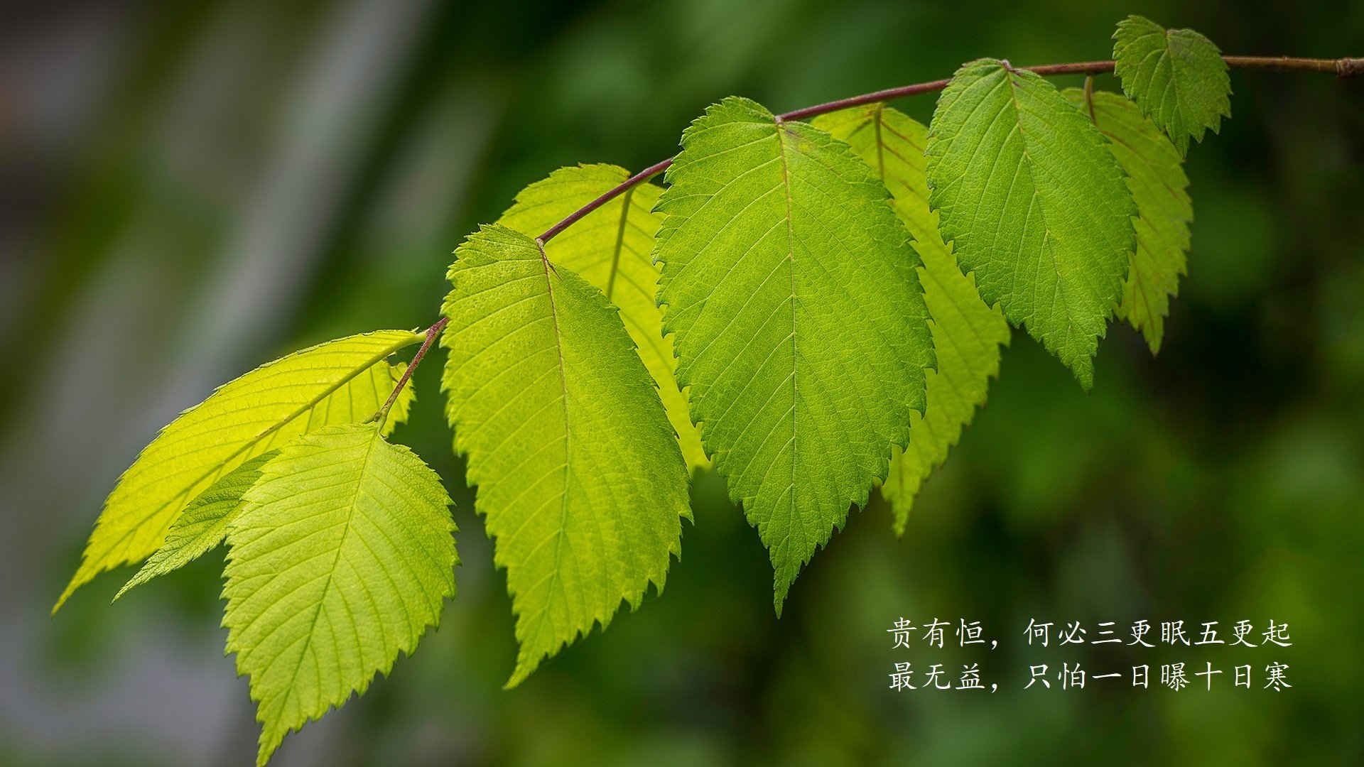 北欧寒锋的逆火,2026世界杯B组,库尔图瓦导演瑞典史诗级翻盘