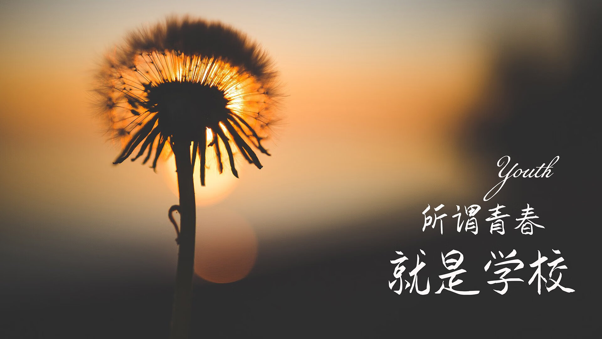 唯一不可复制的C组暗夜，伊朗铁蹄踏碎智利，范戴克封神荷兰，一场宿命与血性的终极交响