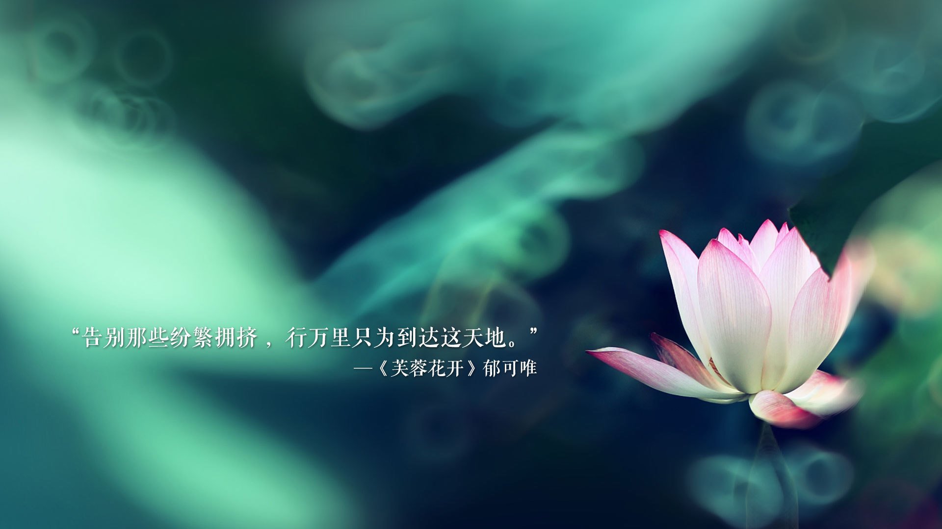 2026的孤独交响曲,当范戴克用灵魂指挥,罗马尼亚在E组奏响唯一的不败神话
